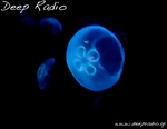 Deep Radio
